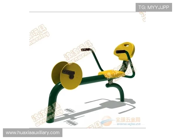 老年人使用健身器材需注意什么？安全指导与推荐器械