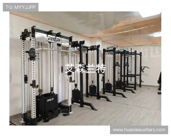 高效练腰肌必备十大健身器材推荐清单