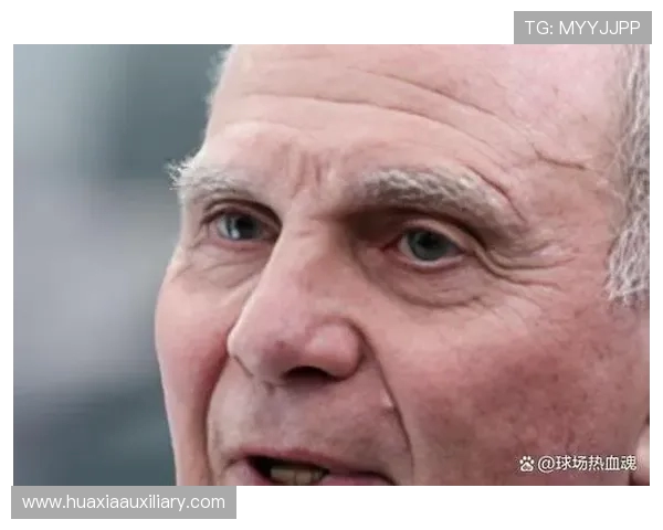 德甲所有球队老板名单与资本背景介绍