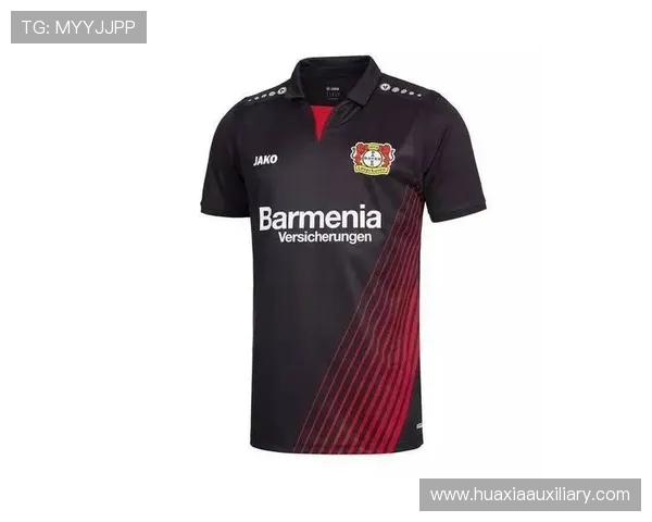 德甲私人球队名单及俱乐部管理模式介绍