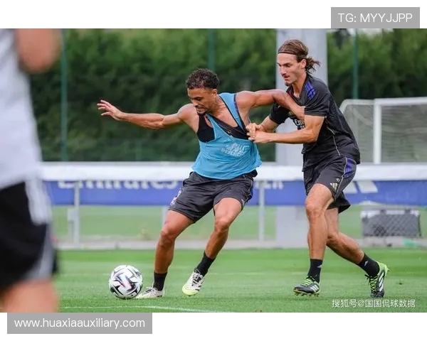 法甲赛季整体走势分析：强队稳定性与黑马潜力评估