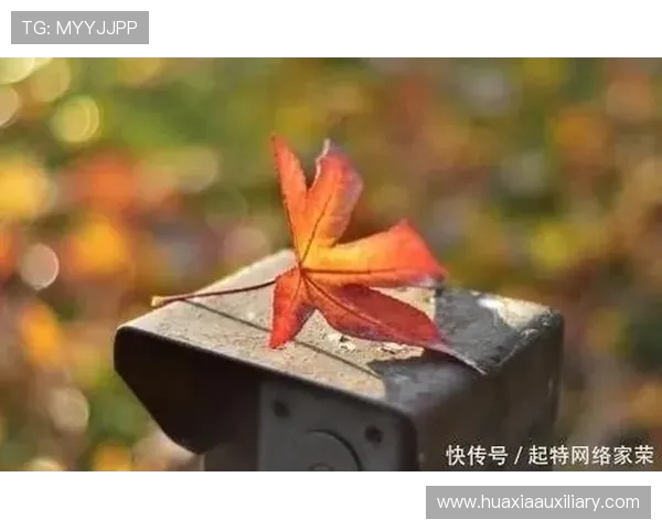 KD强调专注当下不急于季后赛生活的真谛在于珍惜眼前每一刻